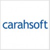 Carahsoft logo | LinkPoint360 Salesforce Partners