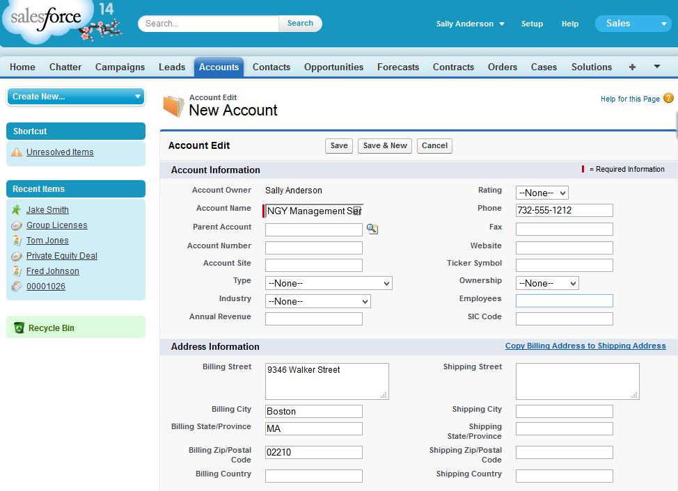 account assignment salesforce